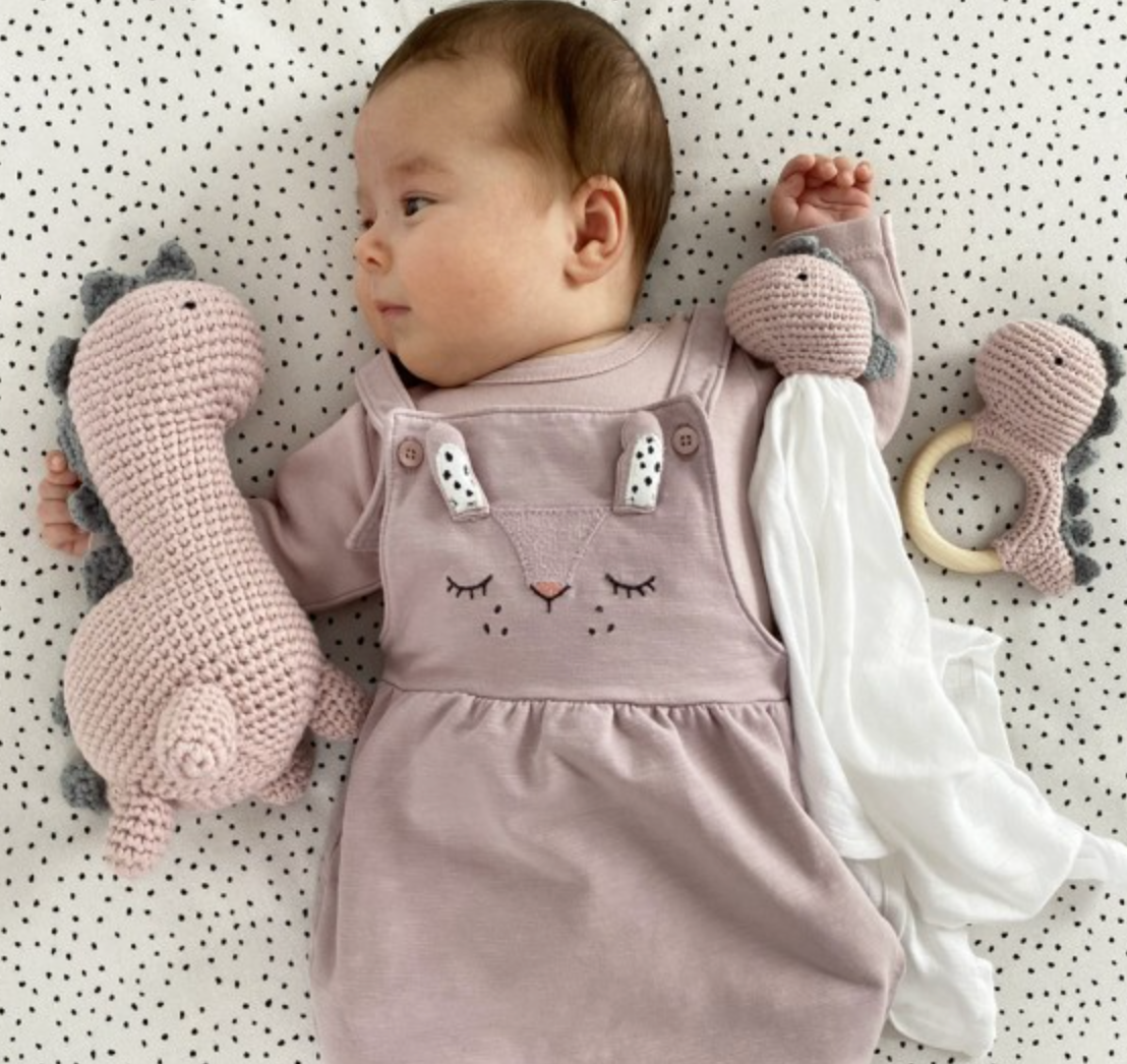 【寄り添うおもちゃシリーズ】 ぬいぐるみ付きガーゼ ダイナソー