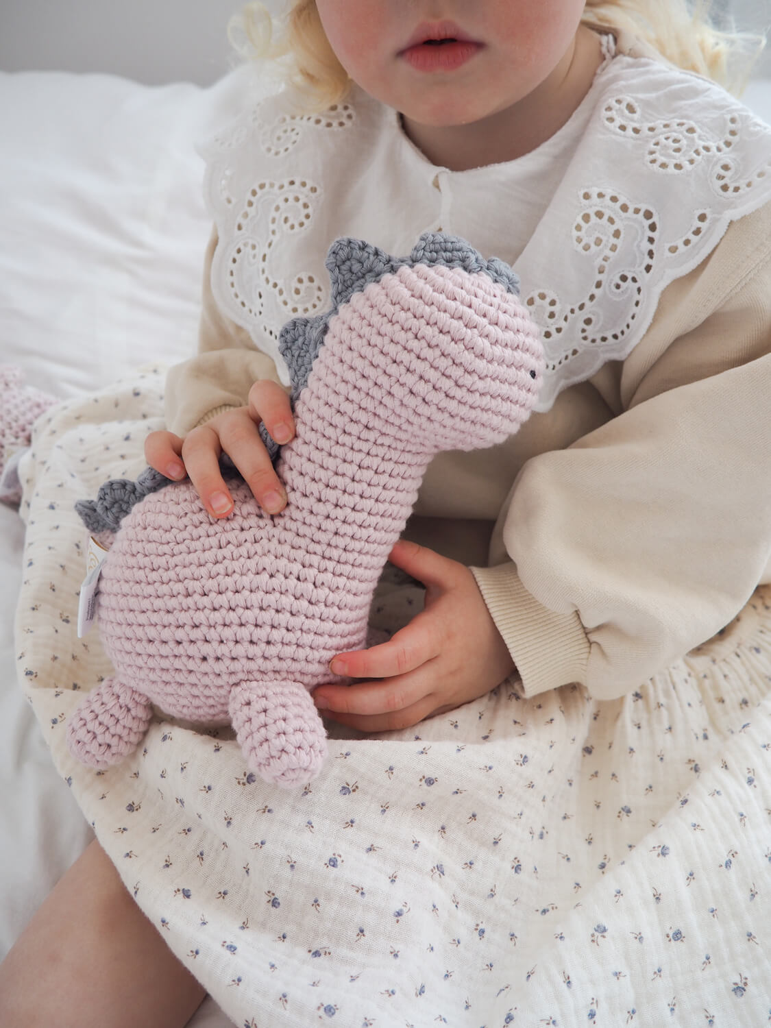 ディノフレンズ