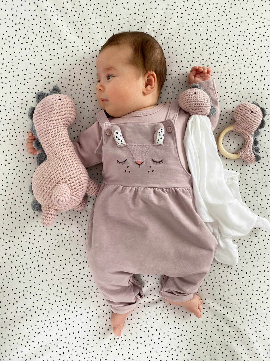 オーガニックコットン ラトルダイナソー